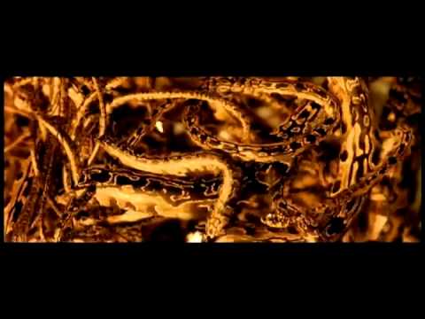 EYWA - feel her love, gaia, ayahuasca... in this 2nd excerpt from the Blueberry movie by Jan Kounen you see well depicted how the powerful ayahuasca shaman, uses hi...