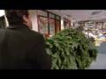 Dwight Schrute Compilation