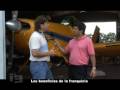 ideas de un emprendedor prog 13 parte 2