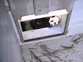 Mei Lan & Lun Lun Do Play/Battle at the Doorway, 2-05-07