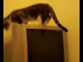 Who is in the TV? Who is behind the TV?