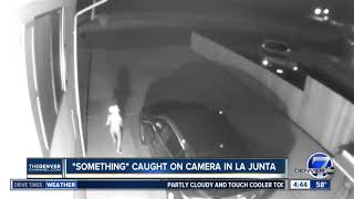  Alien  caught on camera in La Junta