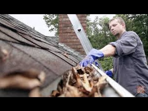 Top latest Five CT Gutter Cleaning Urban news – The best blog