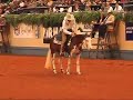 nrha futurity 2007   randy paul brian bell rocky dare