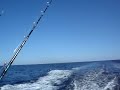 tuna fishing lewes deleware