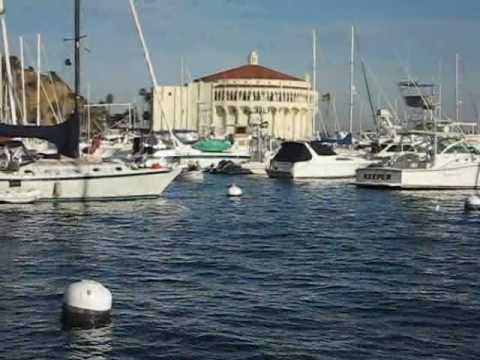 catalina - Sailing to Catalina Island. A 24 mile journey across open water infested with man-eating dolphins.