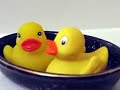 Bert en Ernie - (German Techno) Rubber Duckie Bert en Ernie - (German Techno) Rubber Duckie