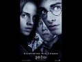 Harry Potter-Growing up