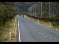 Bryan Smith Yamaha R1 Wheelie Mix 