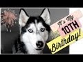 Happy Birthday MISHKA!