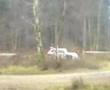 Rallye Sunseeker 2008 - Warren Philliskirk