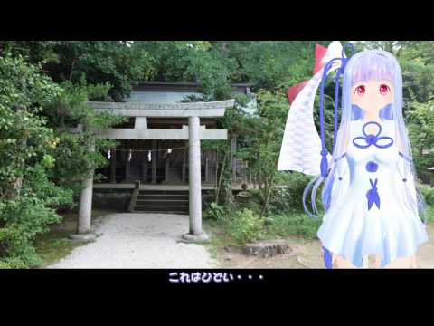 動画