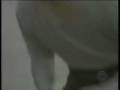 videos de Alex Dodd - Action
