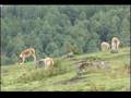 CAJAMARCA TURISTICA