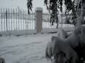 videos de MOV02850 bianco giardino