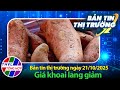 Bản tin thị trường (21/10/2025): Giá khoai lang giảm
