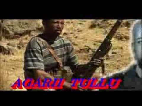 tullu