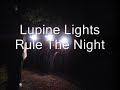 lupine lights rule the night