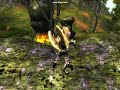 Flail in Oblivion Flail in Oblivion
