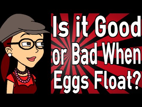 how to float test an egg