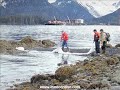 InnoCentive Oil Spill Cleanup - Part 1 InnoCentive Oil Spill Cleanup - Part 1
