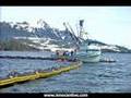 InnoCentive Oil Spill Cleanup - Part 1