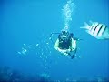 roatan video 009.asf