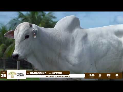 1� De Olho na Fazenda - Terra Nobre