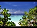 Movie_0001.wmv Movie_0001.wmv