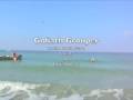 Goliath Grouper