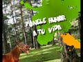 Promo SMS - Chistes 1