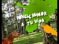 Promo SMS - Chistes 1