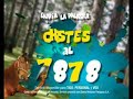Promo SMS - Chistes 1