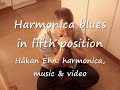 Harmonica blues in fifth position