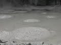 Mud Pools in Rotorua