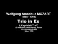 video footage of a rehearsal session of
w.a. mozart's kegelstatt trio in e-flat major for clarinet, viola and piano (k.v. 498)

ii. menuetto  

klarinette: vintonius primus
bratsche: ivan y.p. li
klavier: paul k.c. li

recorded: may 27, 2008 (tuesday)