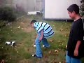 how-to-kill-your-dog.html
