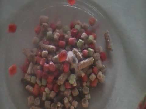 how to dissolve fish bones