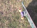 Breon punisher kids gapping 17 foot jump with bike