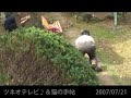 猫の手帖の取材「コウシカメラ」
