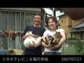 猫の手帖の取材「コウシカメラ」