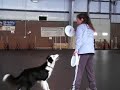 Flip Catch Training with Blade Flip Catch Training with Blade