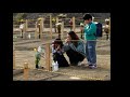 Click here to watch this video Evacuez Fukushima - N. Surgeon 08.2011 (1 à 3 Fr) - part. 1 / 2