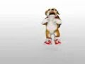 The dog Chacarron