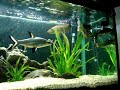 Feeding time! Feeding time!