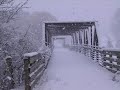 Laleh - Snö