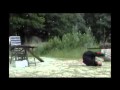 2010-05-19 | Fight Action Movie - Street Fights Gang Clashes, Kimbo Fights and Brawls.. ... ~> ()