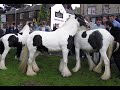 appleby fair appleby fair