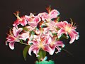 3D Time Lapse of Stargazer Lilies Blooming