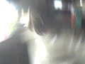 mona bailando electro